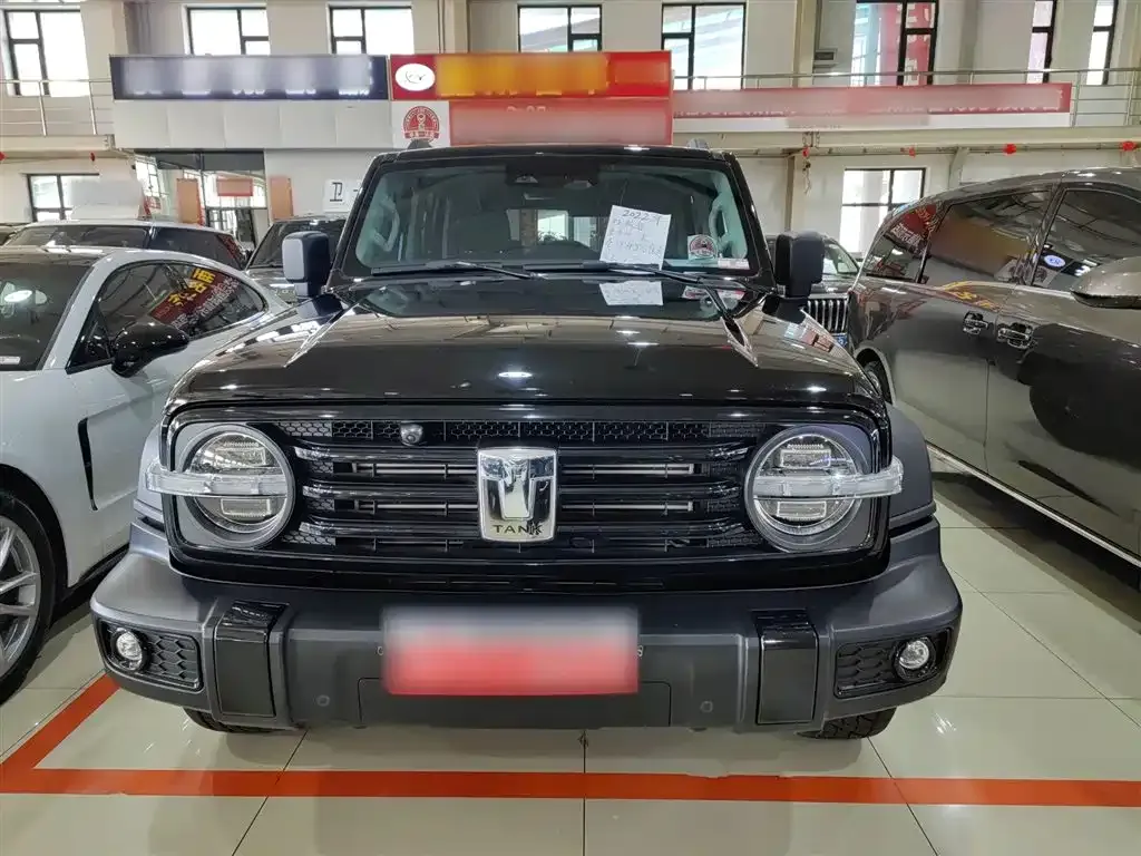 [object Object] Tank 300 2022 из CN, фото 3