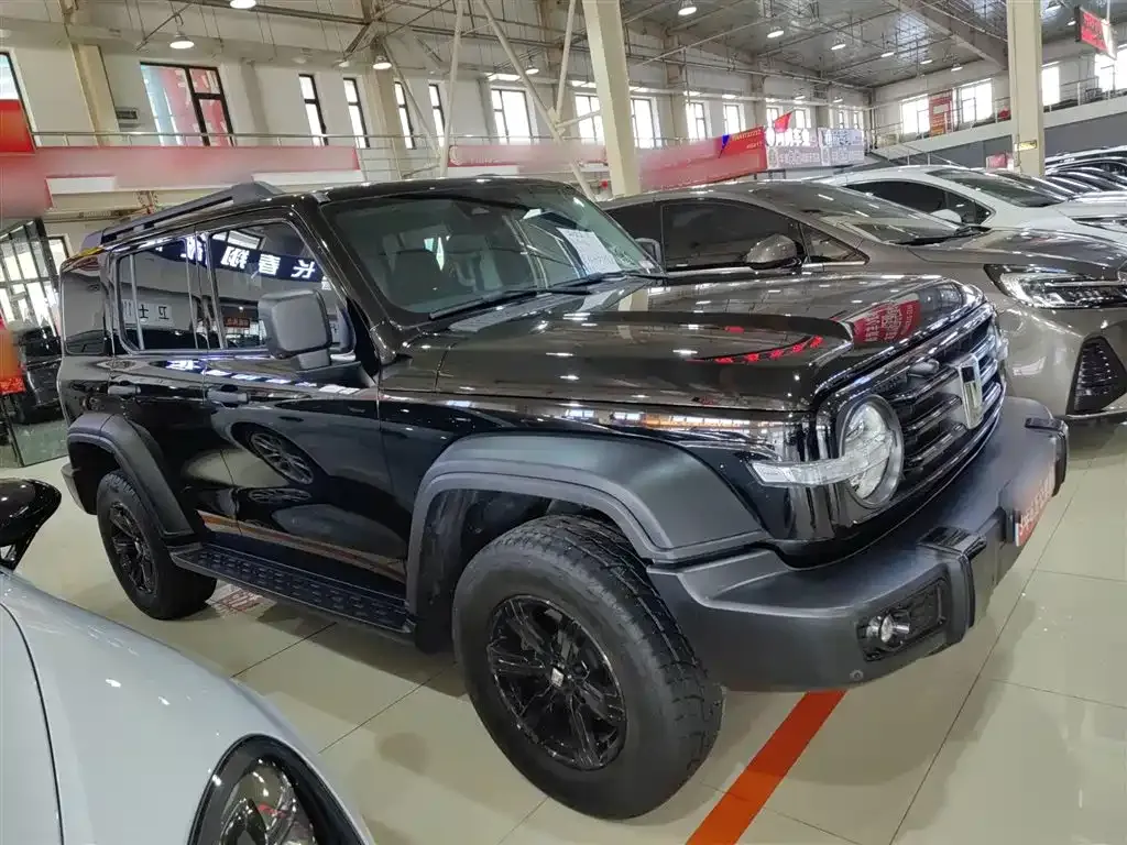 [object Object] Tank 300 2022 из CN, фото 4