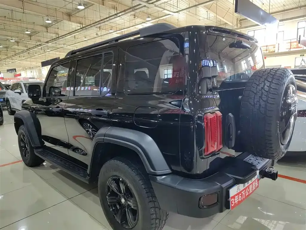 [object Object] Tank 300 2022 из CN, фото 7