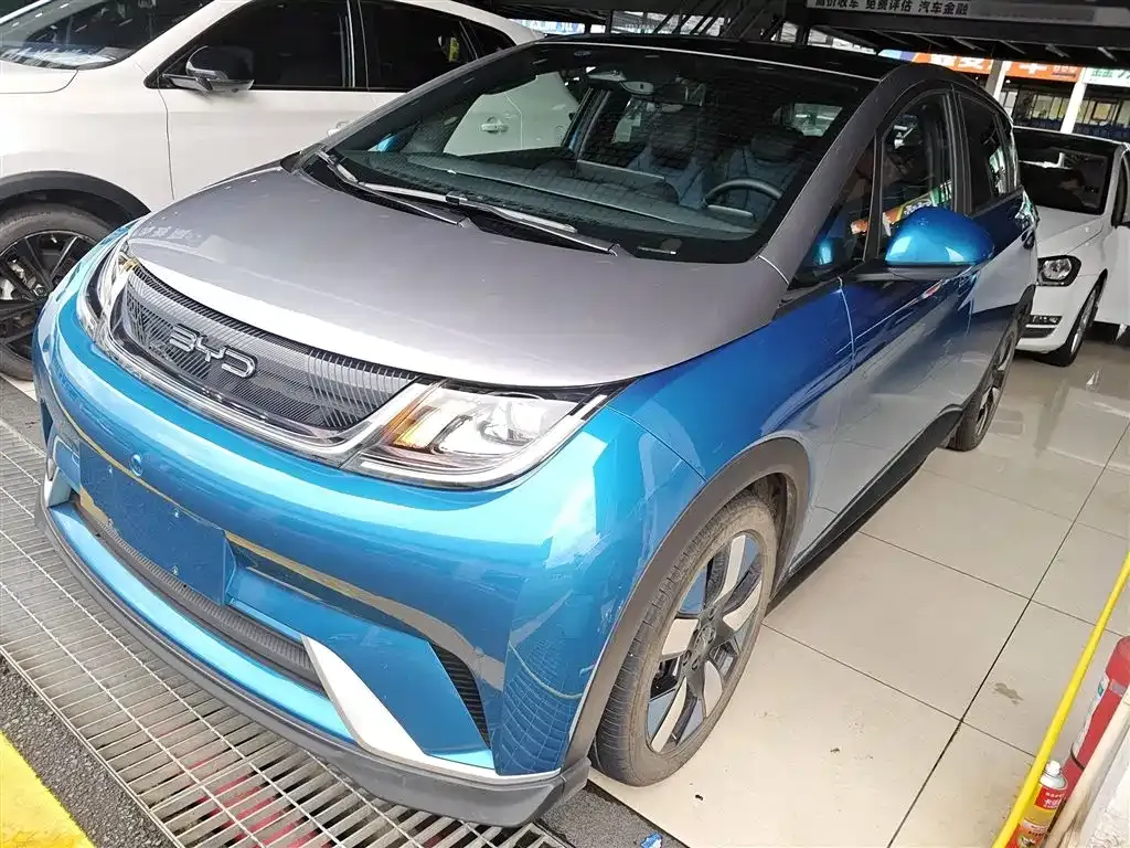 BYD Dolphin 2024 из CN, фото 1