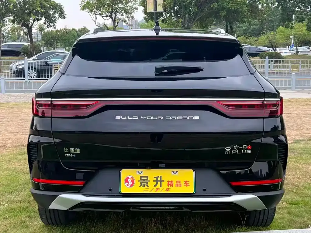 BYD PLUS New Energy — фото 6
