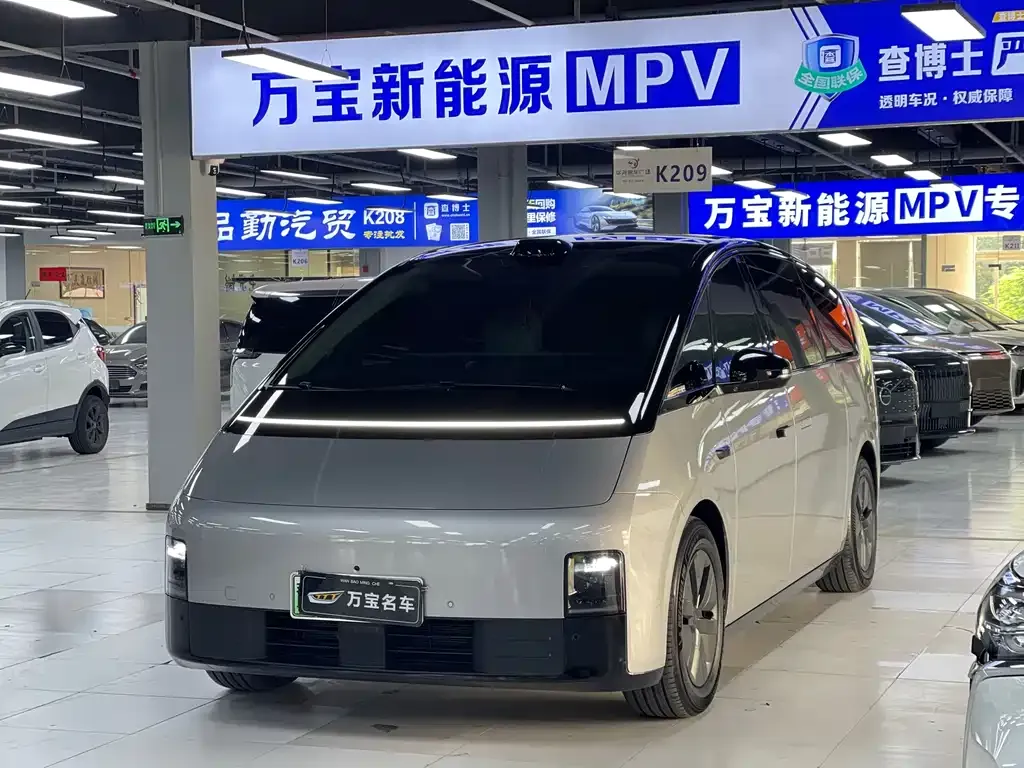 Li Auto MEGA 2024 из CN, фото 1
