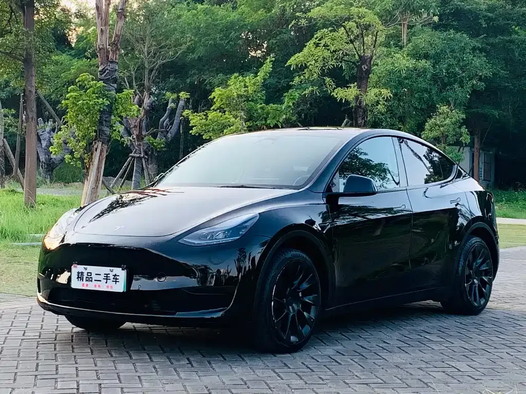 Tesla Model Y 2023 из CN, фото 1