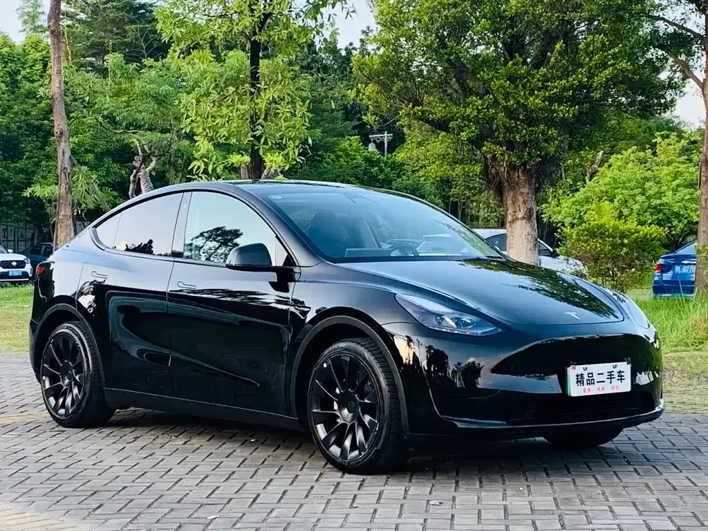Tesla Model Y 2023 из CN, фото 7