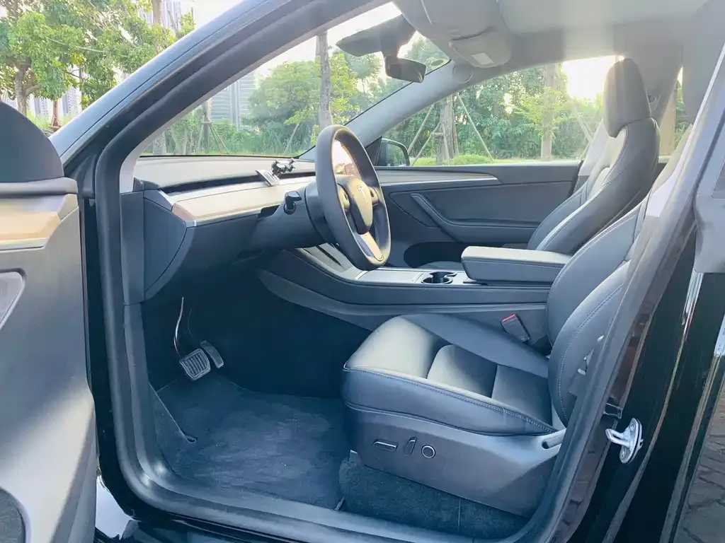 Tesla Model Y 2023 из CN, фото 8