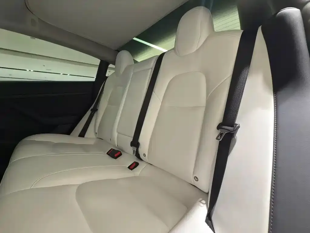 Tesla Model 3 2023 из CN, фото 6