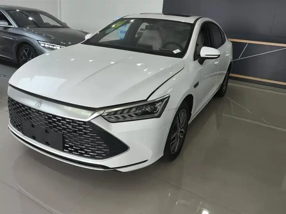 BYD Qin PLUS — фото 1