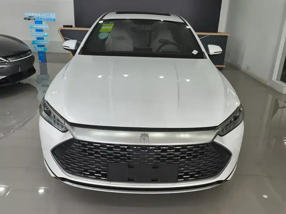 BYD Qin PLUS — фото 2