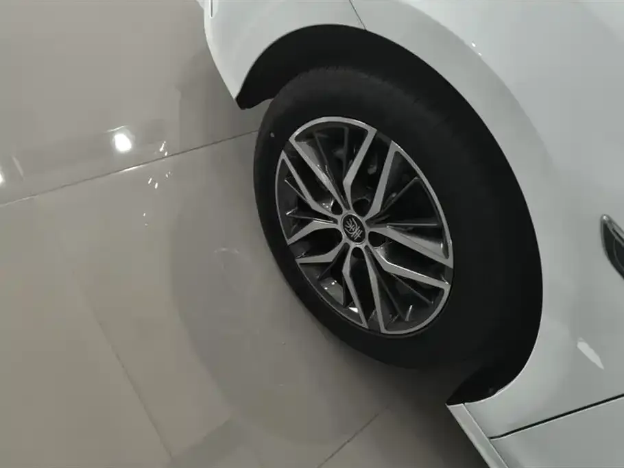 BYD Qin PLUS — фото 6