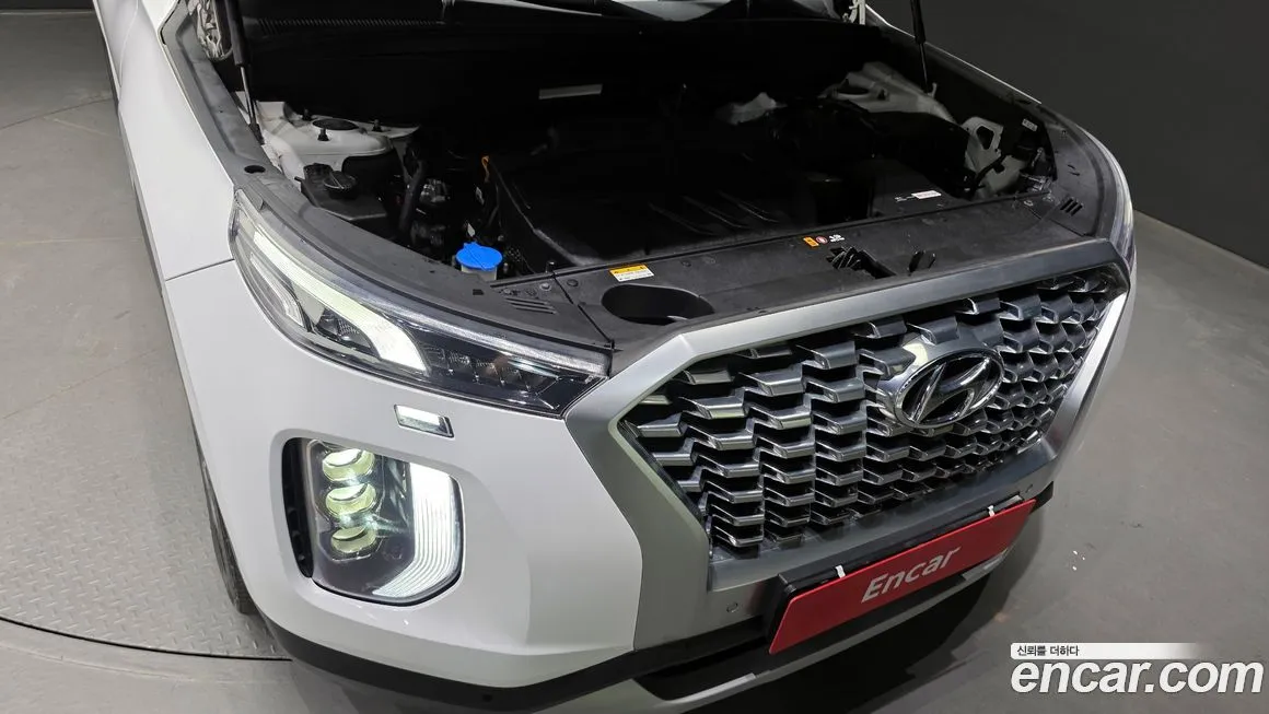 [object Object] Palisade 2021 из KR, фото 6