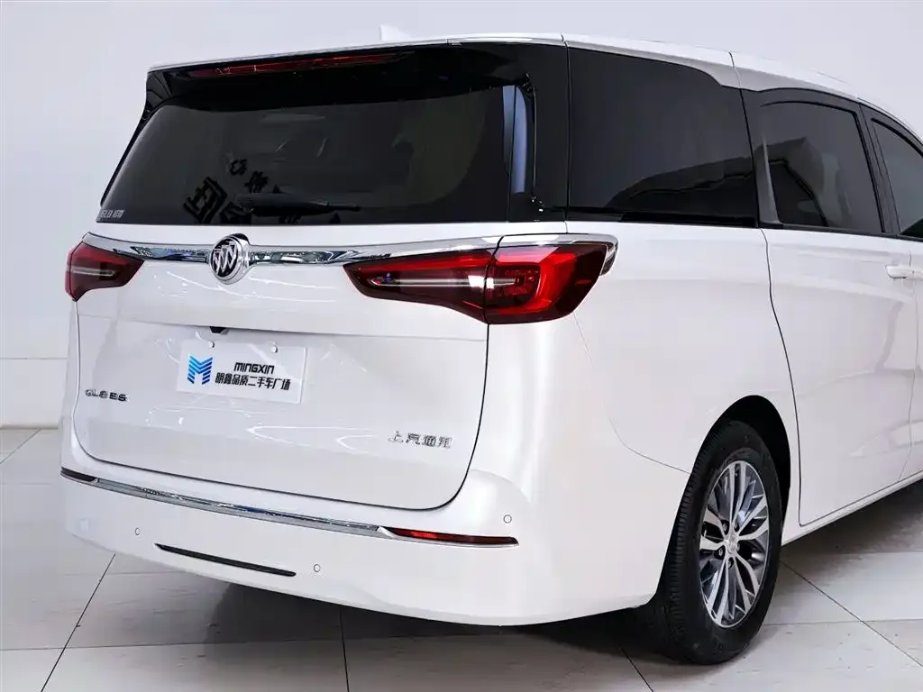 Buick GL8 2021 из CN, фото 8