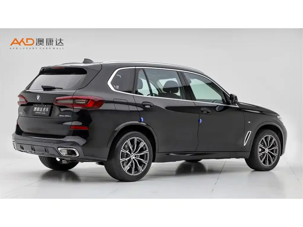 BMW X5 2023 из CN, фото 3