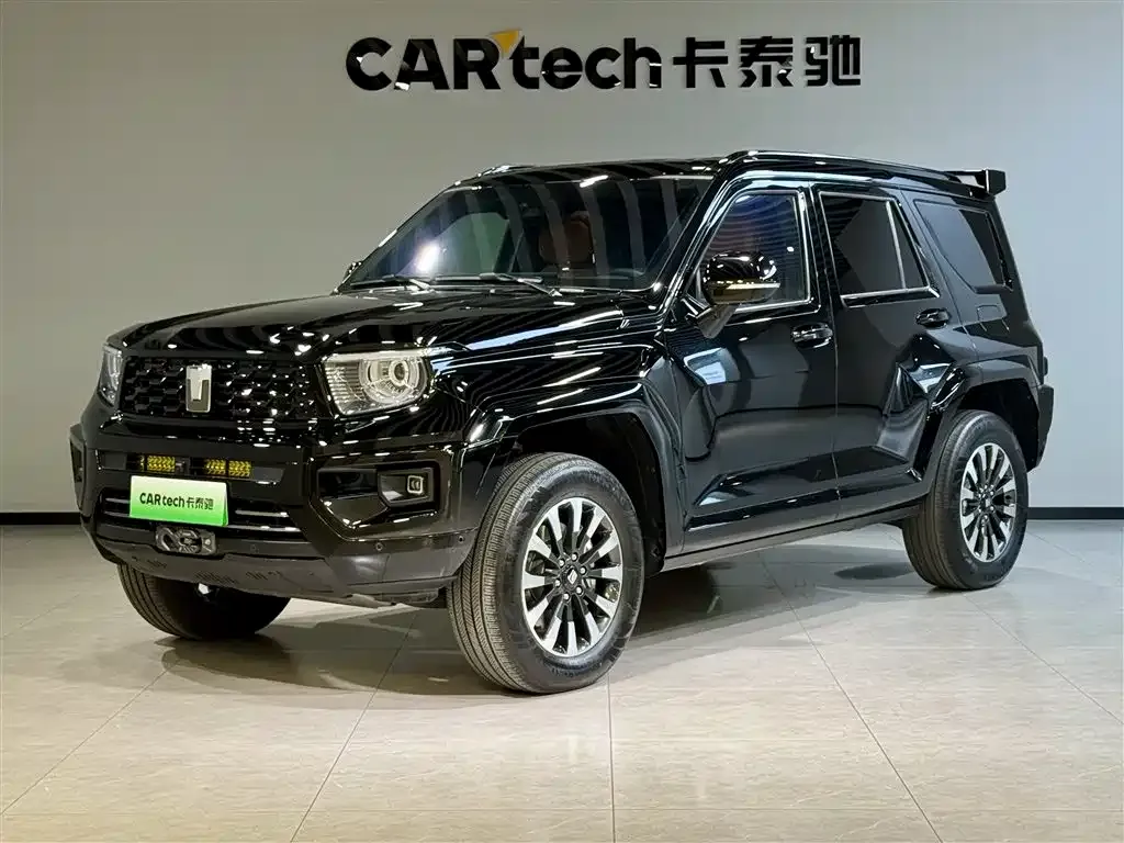 Tank 700 New Energy 2024 из CN, фото 1