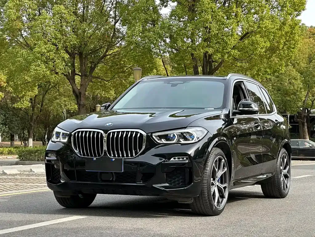BMW X5 (Import) 2022 из CN, фото 1