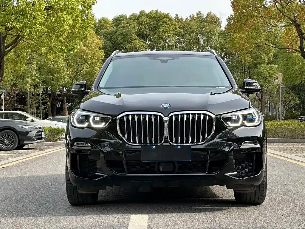 BMW X5 (Import) 2022 из CN, фото 2