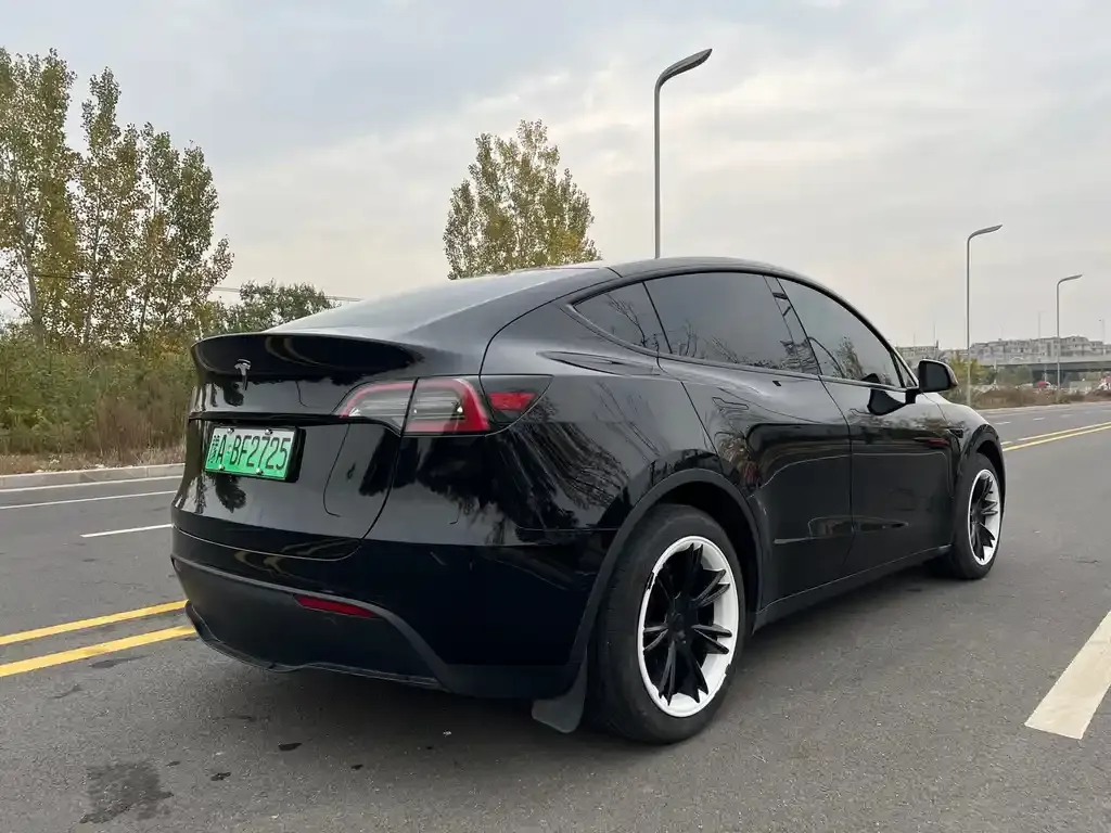 Tesla Model Y — фото 10