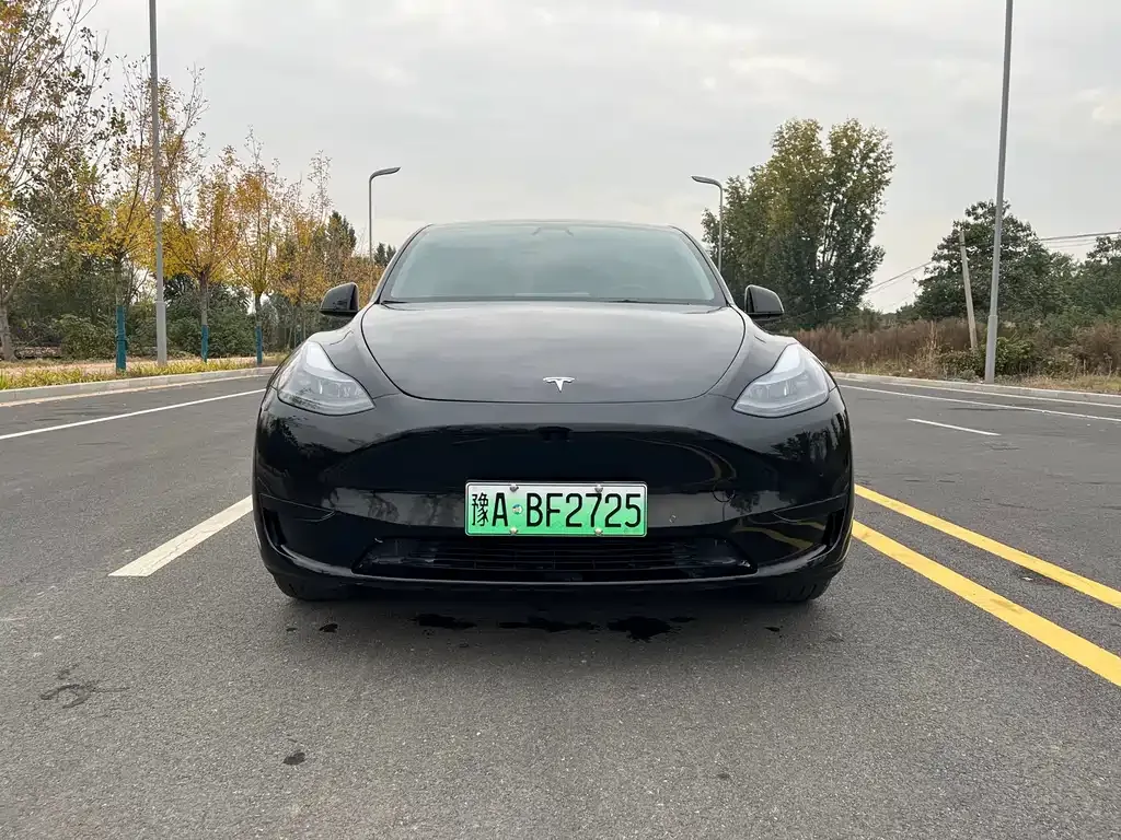 Tesla Model Y — фото 2