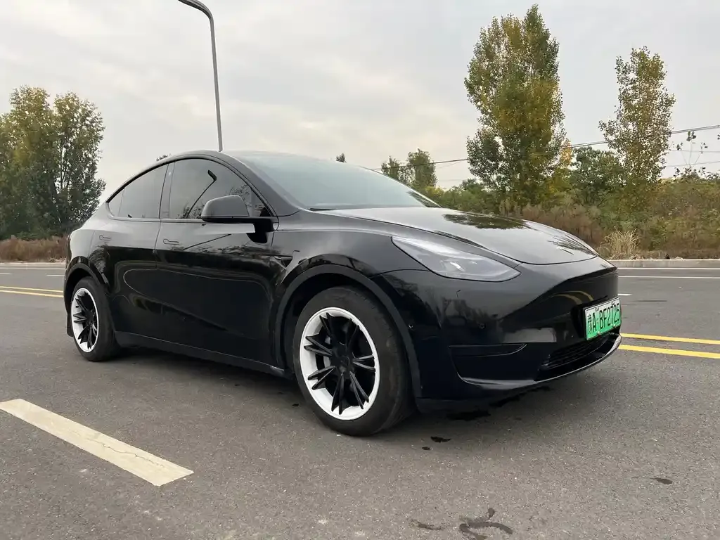 Tesla Model Y — фото 3