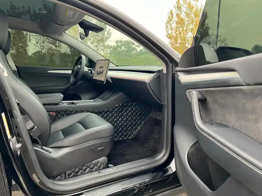 Tesla Model Y — фото 8