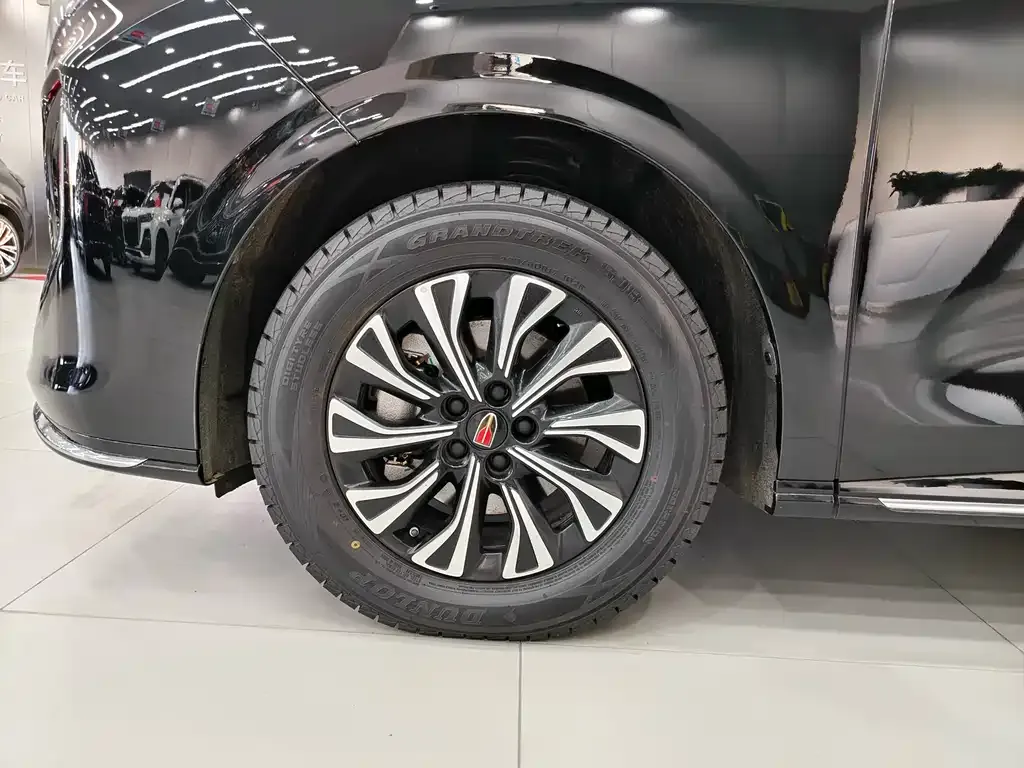 Hongqi HQ9 PHEV 2024 из CN, фото 9