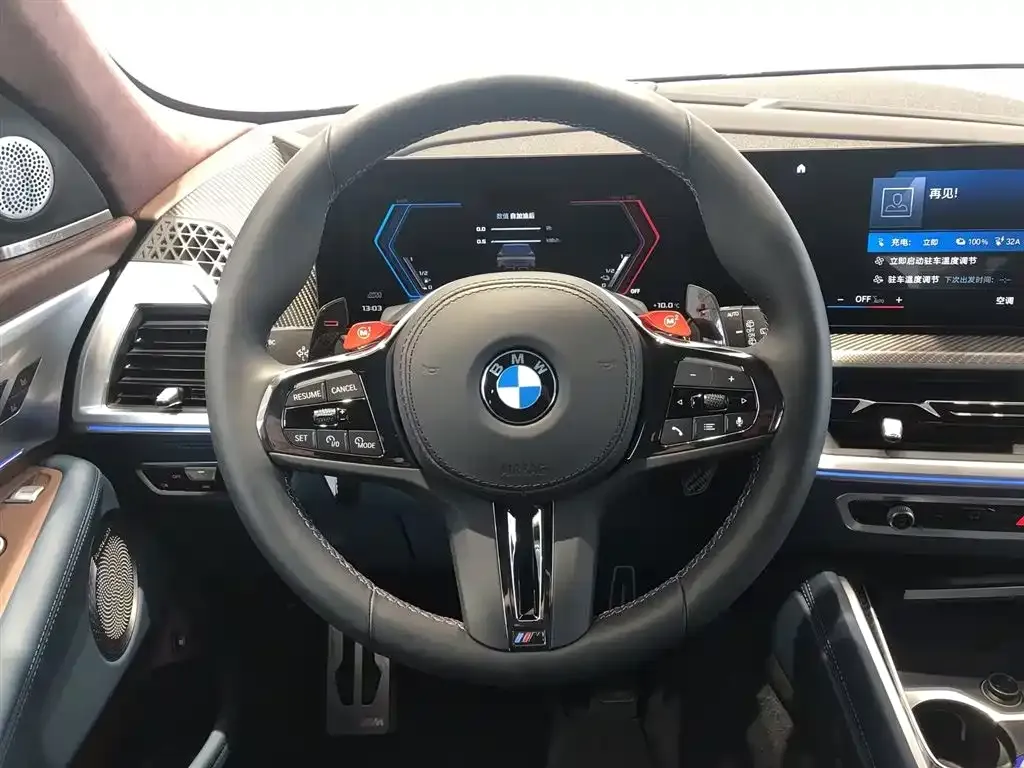 BMW XM — фото 10