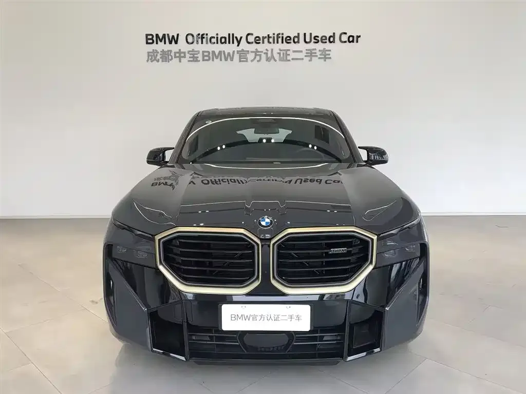 BMW XM — фото 4