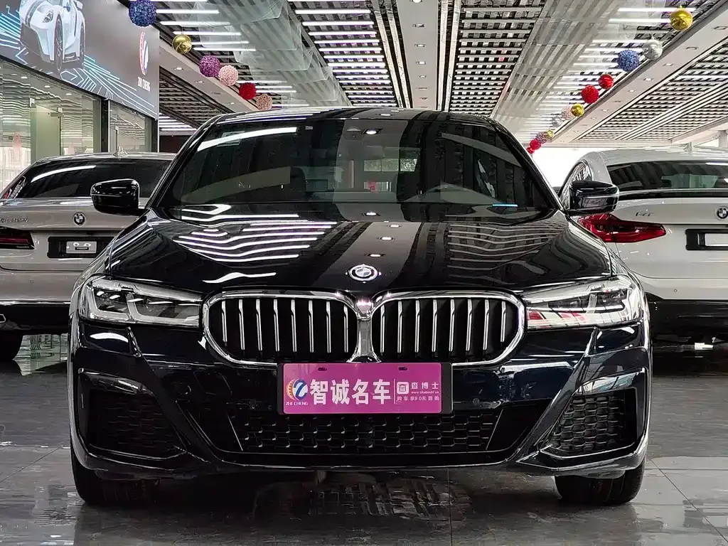 BMW 5 Series New Energy — фото 2