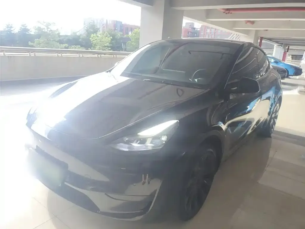 Tesla Model Y — фото 2