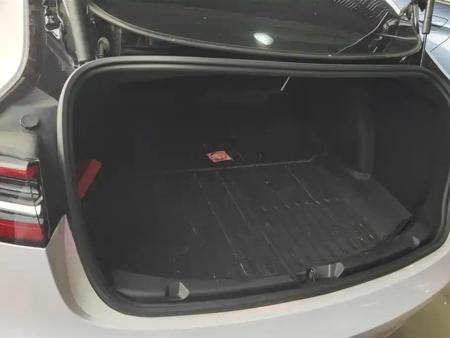 Tesla Model 3 2021 из CN, фото 4