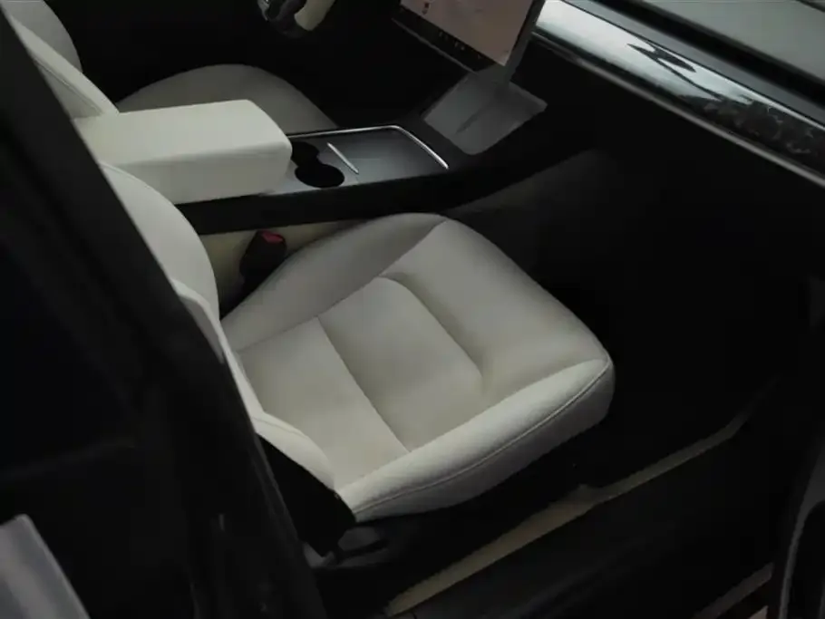 Tesla Model 3 2021 из CN, фото 8