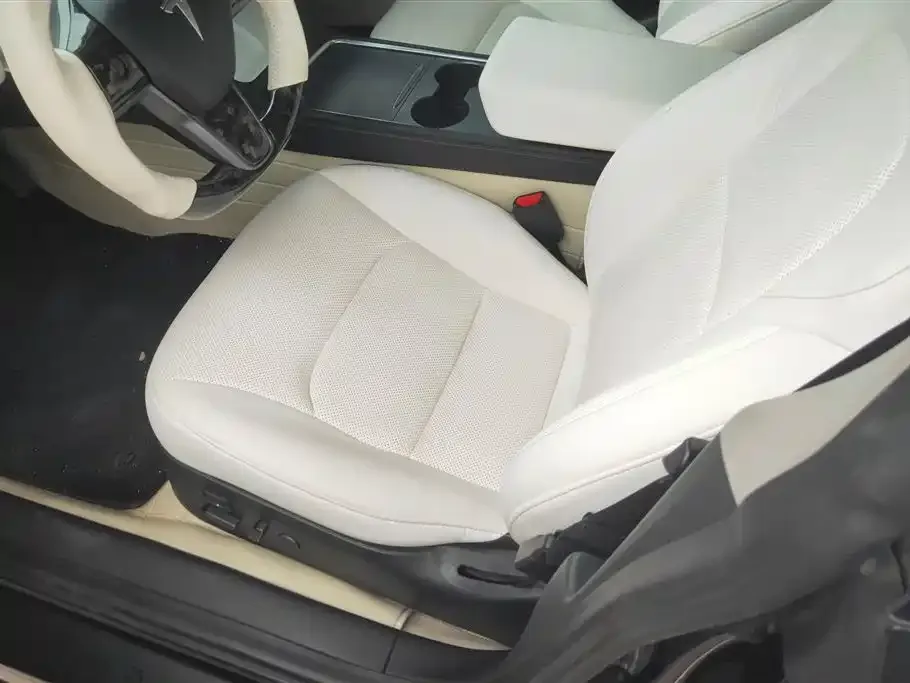 Tesla Model 3 2021 из CN, фото 9