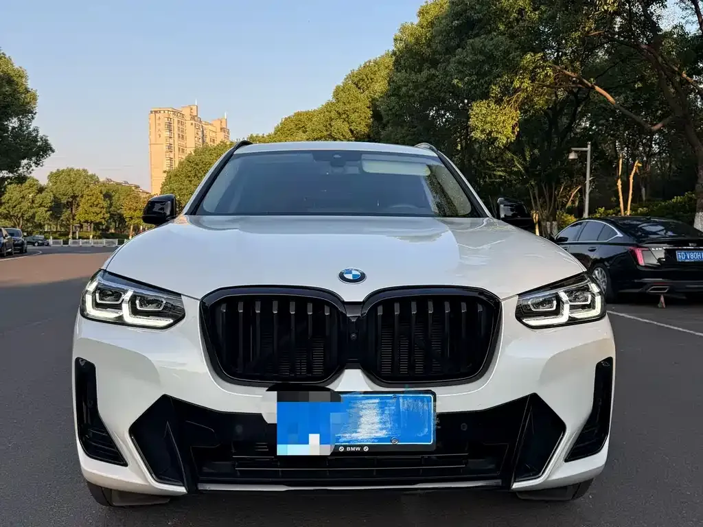 BMW X3 — фото 1