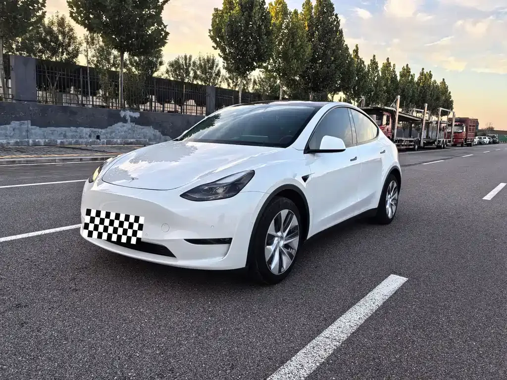 Tesla Model Y 2021 из CN, фото 1