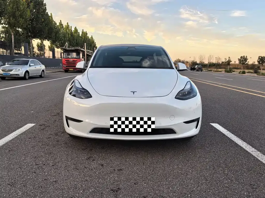 Tesla Model Y 2021 из CN, фото 2