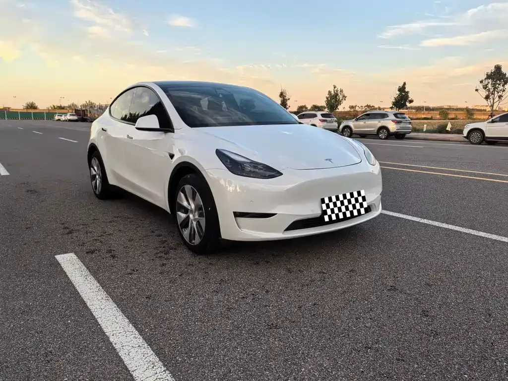 Tesla Model Y 2021 из CN, фото 3