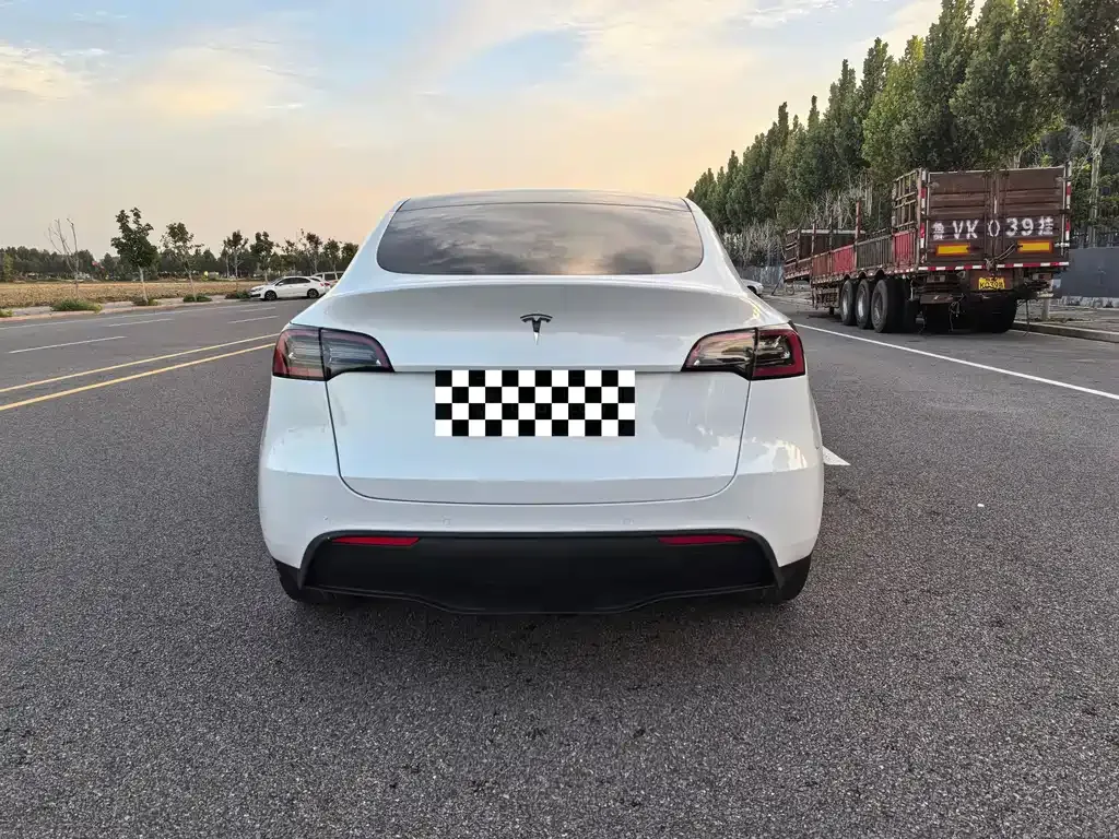 Tesla Model Y 2021 из CN, фото 4