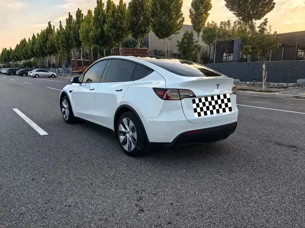 Tesla Model Y 2021 из CN, фото 5