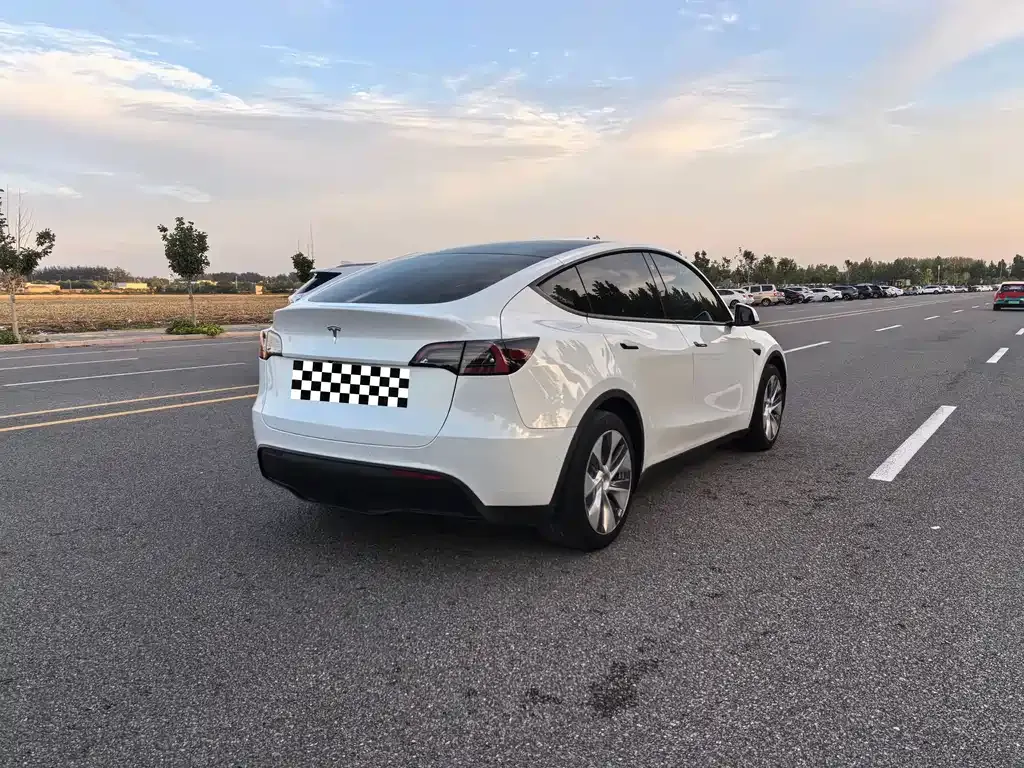 Tesla Model Y 2021 из CN, фото 6