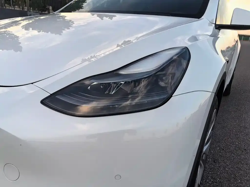 Tesla Model Y 2021 из CN, фото 7
