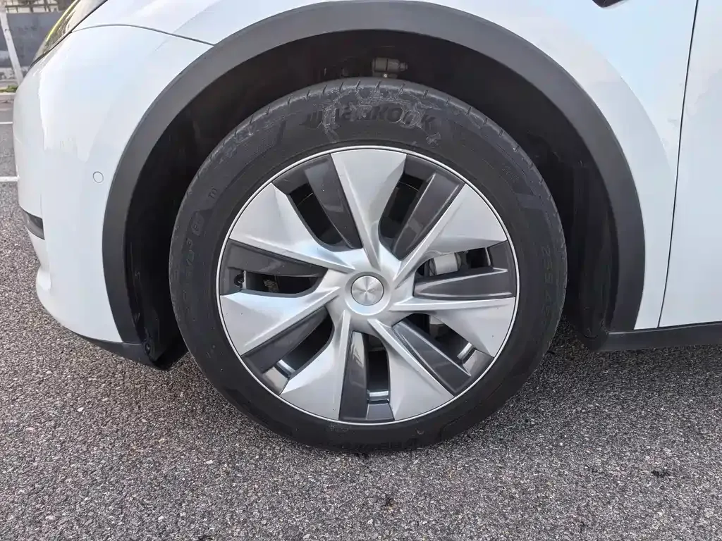 Tesla Model Y 2021 из CN, фото 8