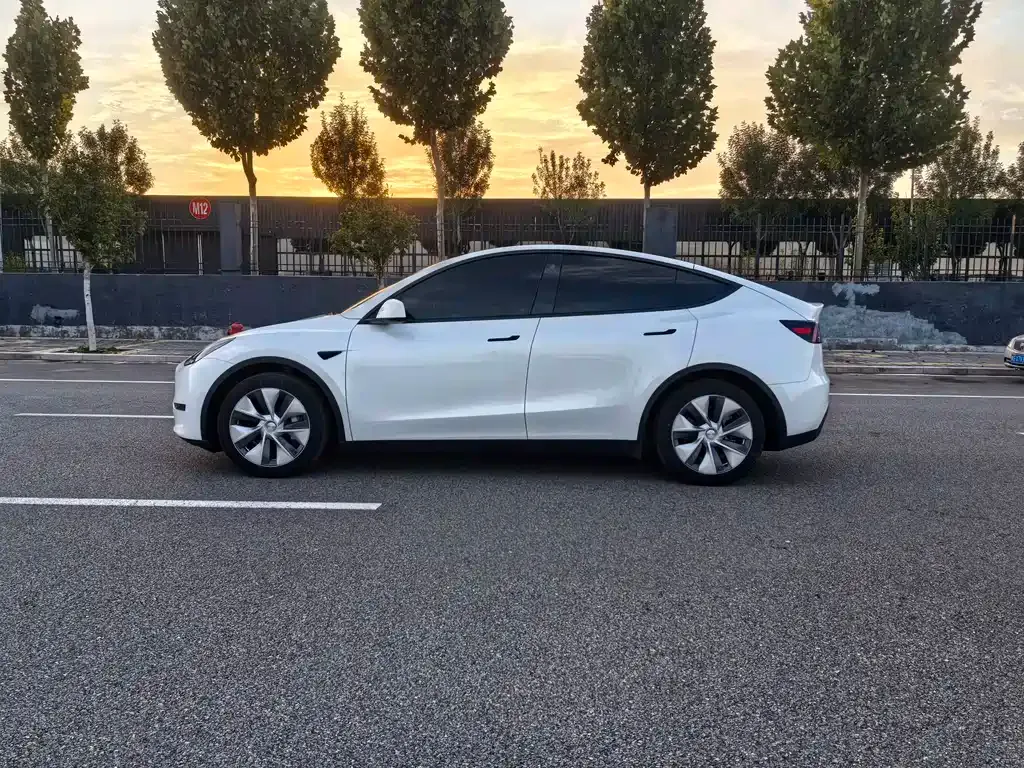 Tesla Model Y 2021 из CN, фото 9
