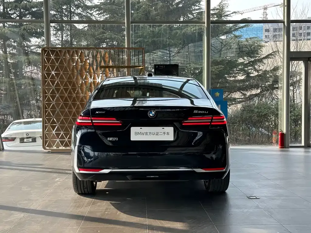 BMW 5 Series 2025 из CN, фото 4