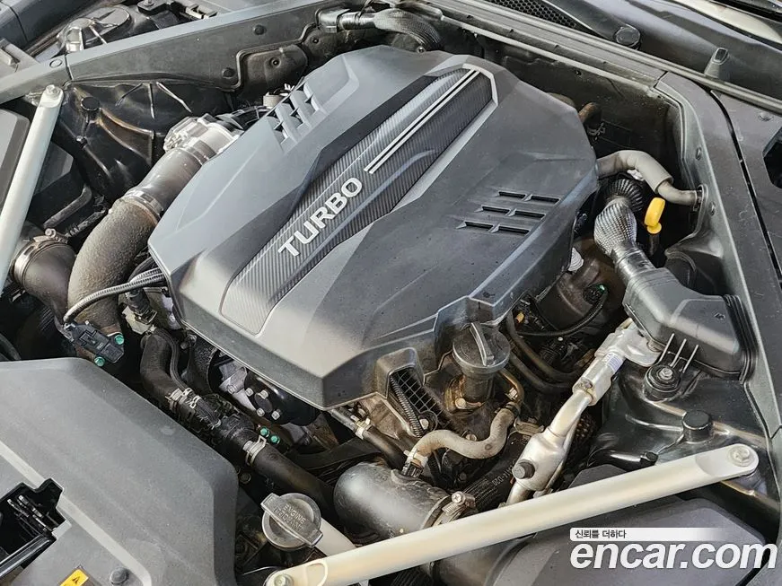 [object Object] K9 2022 из KR, фото 6