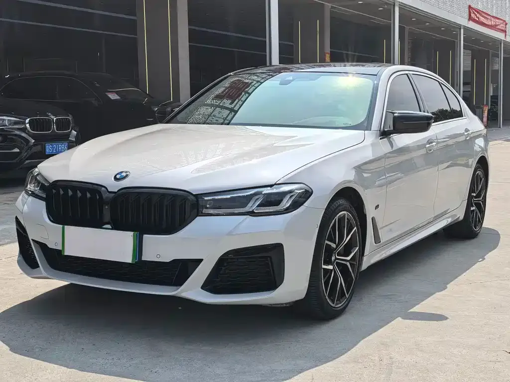 BMW 5 Series 2021 из CN, фото 1