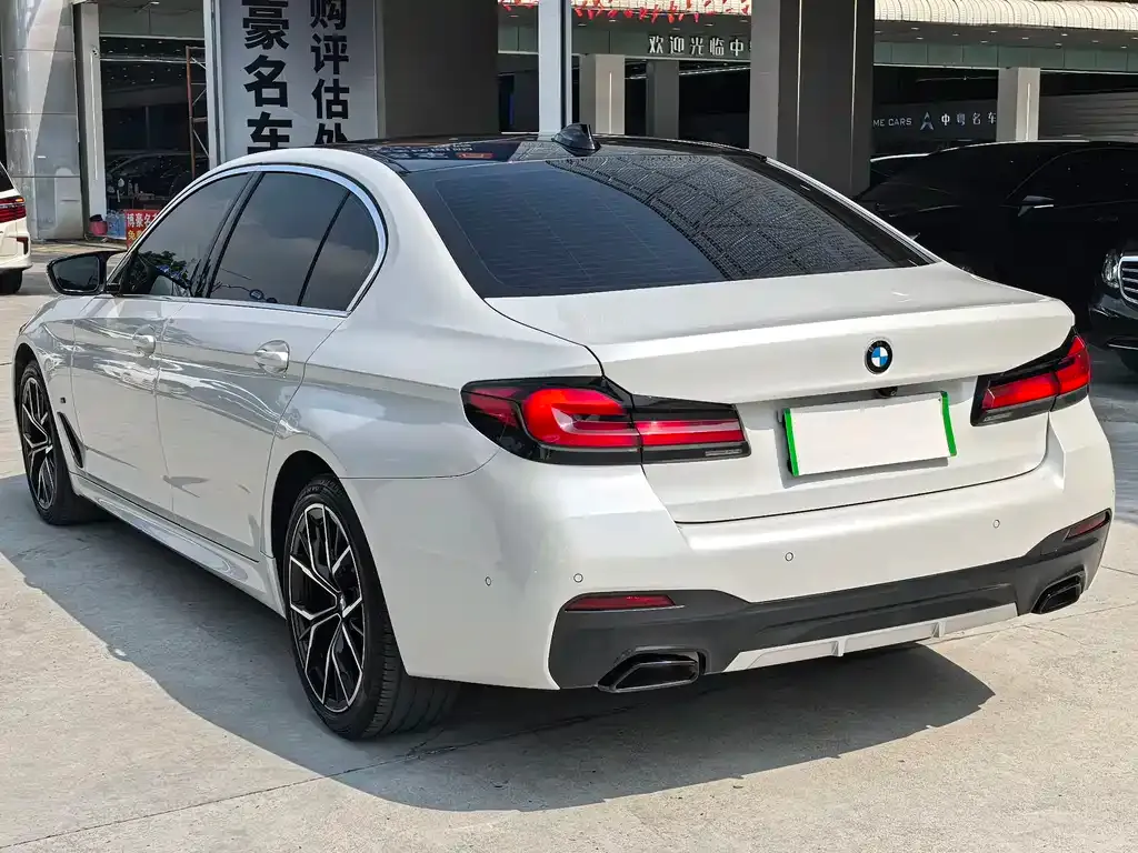 BMW 5 Series 2021 из CN, фото 10