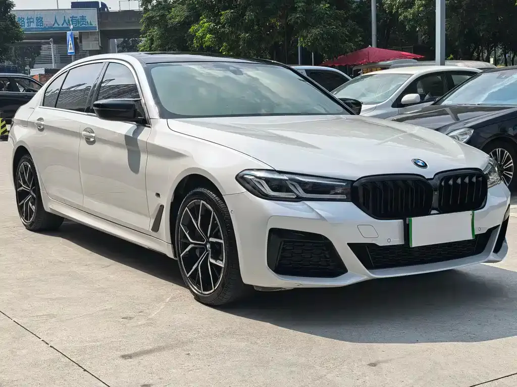 BMW 5 Series 2021 из CN, фото 3