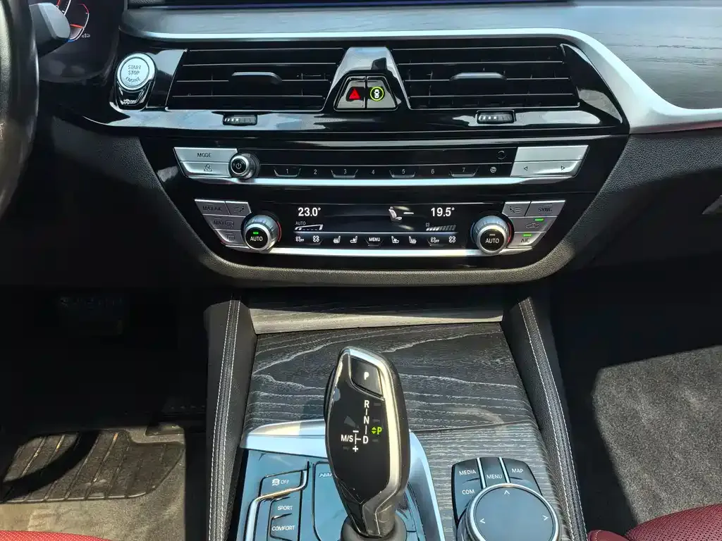 BMW 5 Series 2021 из CN, фото 7