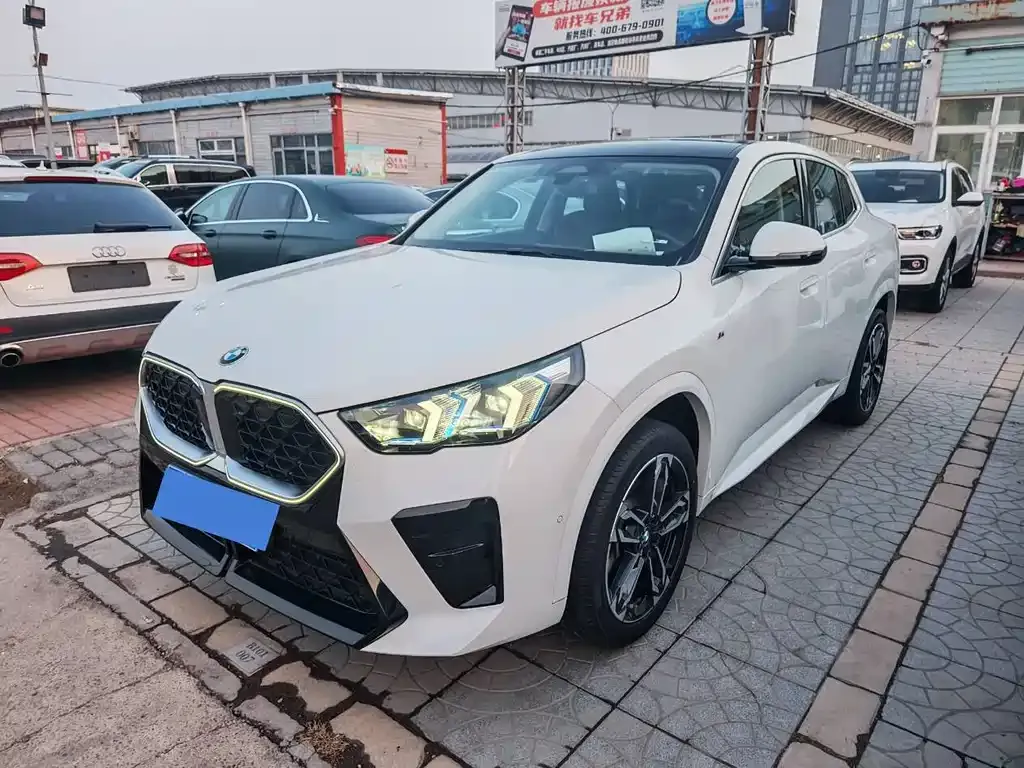 BMW X2 (Import) 2024 из CN, фото 1