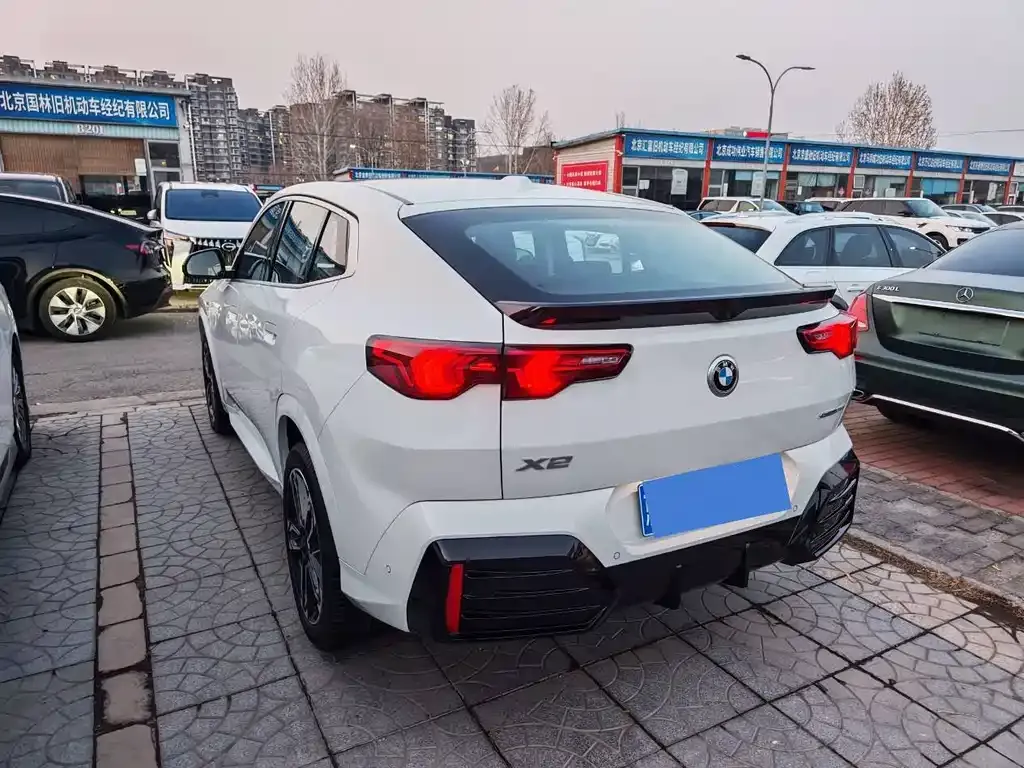 BMW X2 (Import) 2024 из CN, фото 6