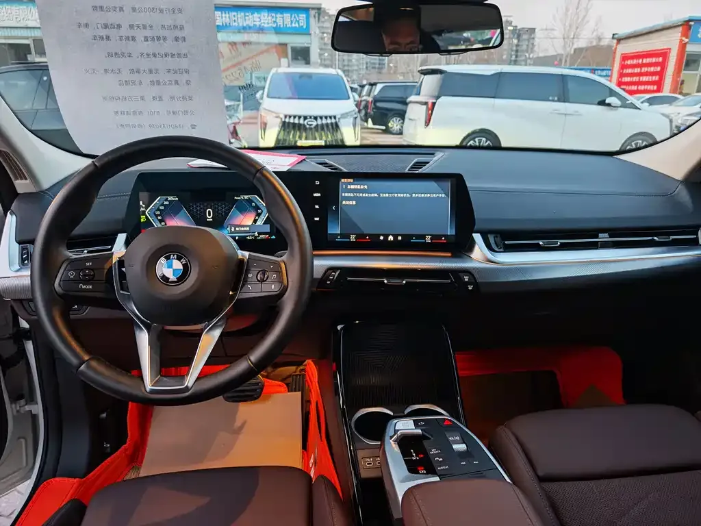 BMW X2 (Import) 2024 из CN, фото 9